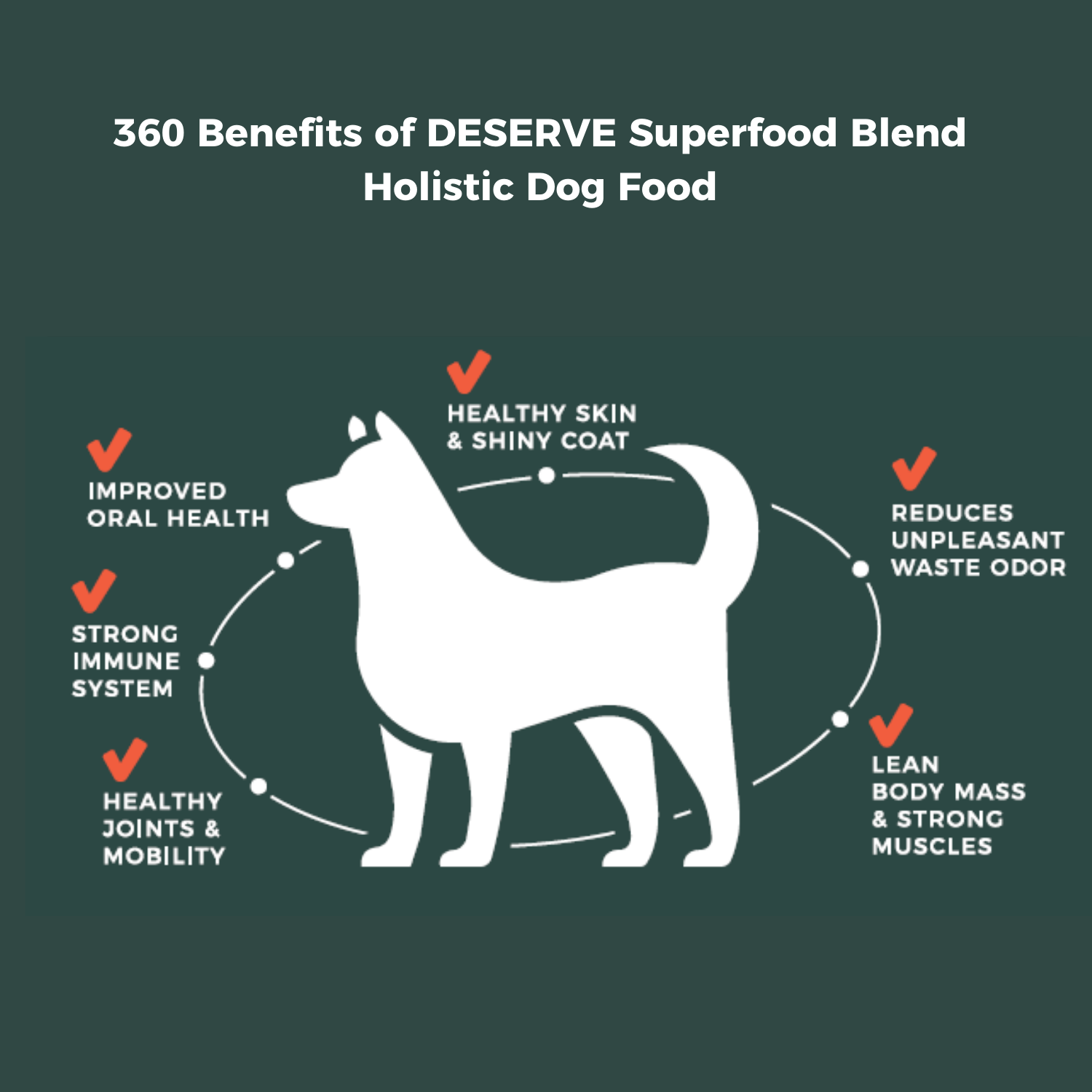 DESERVE Holistic Dog Food Grainfree lamb 40g. Deserve Petcare